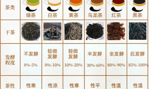 身上发冷预示着什么-身上为啥发冷-连续两天身体发冷,中国这几天身上发冷和什么有关系网站